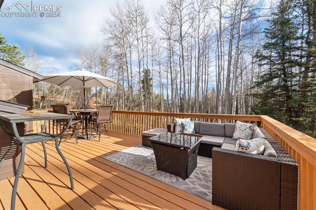 MLS Image for 263  Wakanda  ,Woodland Park, Colorado