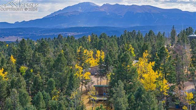 MLS Image for 53  Iris  ,Woodland Park, Colorado