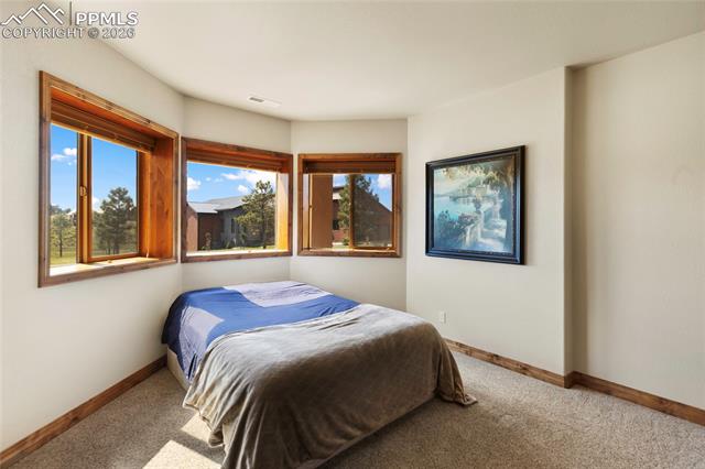 MLS Image for 17474  Pond View  ,Colorado Springs, Colorado
