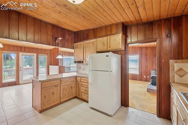 MLS Image for 150  Apache  ,Woodland Park, Colorado