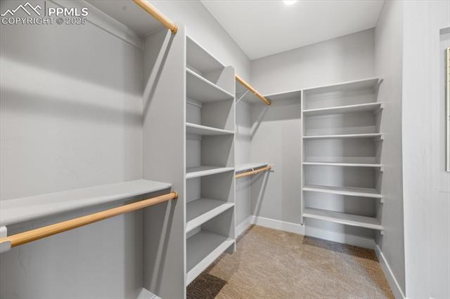 MLS Image for 16631  Early Light  ,Colorado Springs, Colorado