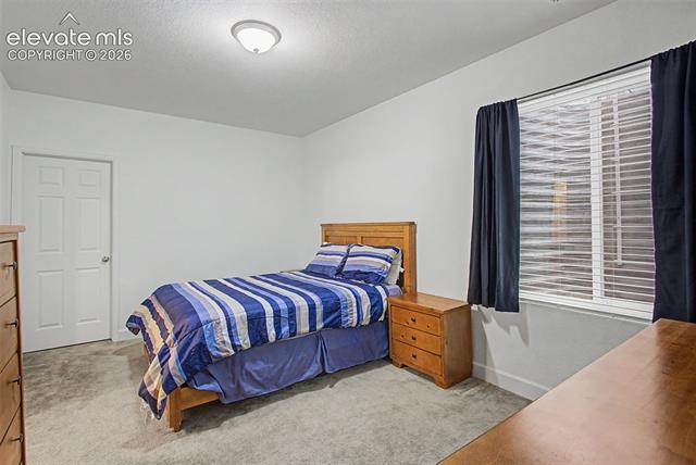 MLS Image for 6962  Fauna Glen  ,Colorado Springs, Colorado