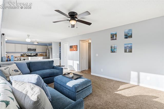 MLS Image for 3205  Cowhand  ,Colorado Springs, Colorado