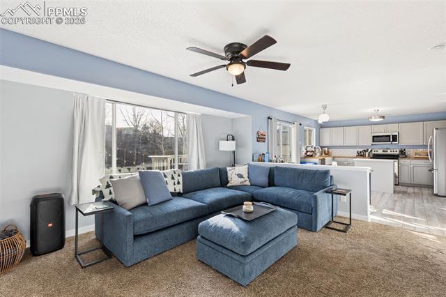 MLS Image for 3205  Cowhand  ,Colorado Springs, Colorado