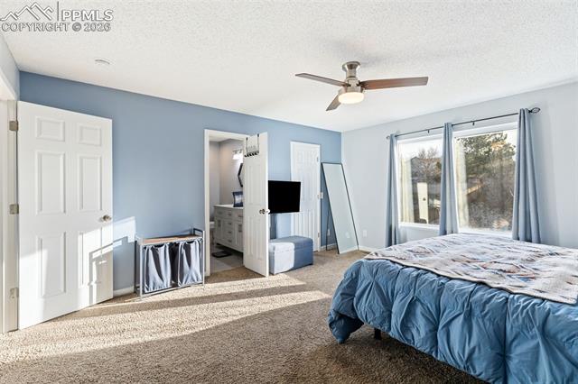 MLS Image for 3205  Cowhand  ,Colorado Springs, Colorado