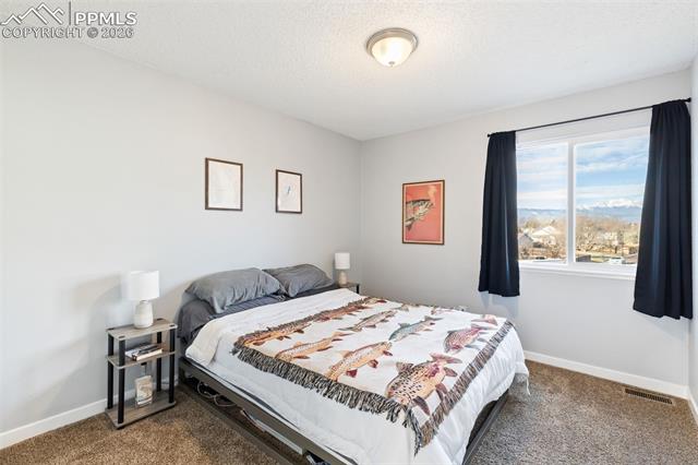 MLS Image for 3205  Cowhand  ,Colorado Springs, Colorado