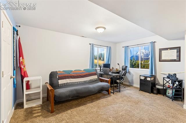 MLS Image for 3205  Cowhand  ,Colorado Springs, Colorado