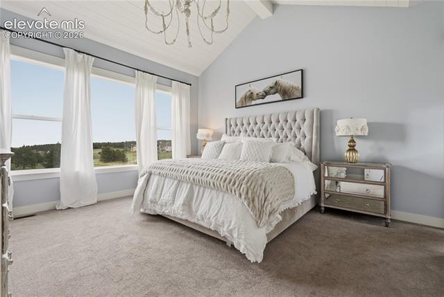 MLS Image for 17355 W Cherry Stage  ,Colorado Springs, Colorado
