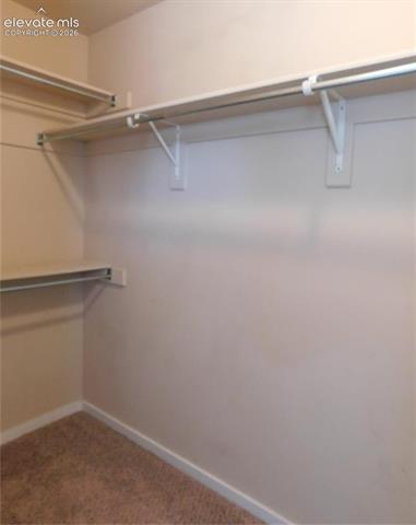 MLS Image for 1313  Flycatcher  ,Colorado Springs, Colorado