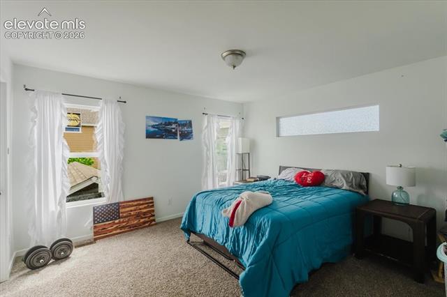 MLS Image for 1313  Flycatcher  ,Colorado Springs, Colorado