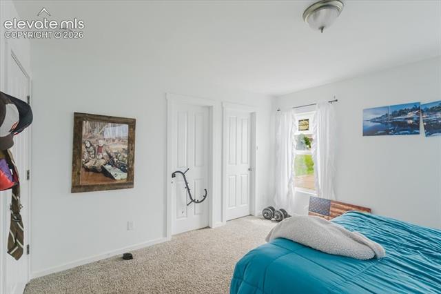 MLS Image for 1313  Flycatcher  ,Colorado Springs, Colorado