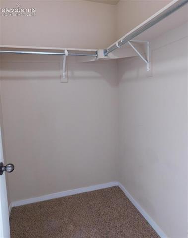 MLS Image for 1313  Flycatcher  ,Colorado Springs, Colorado