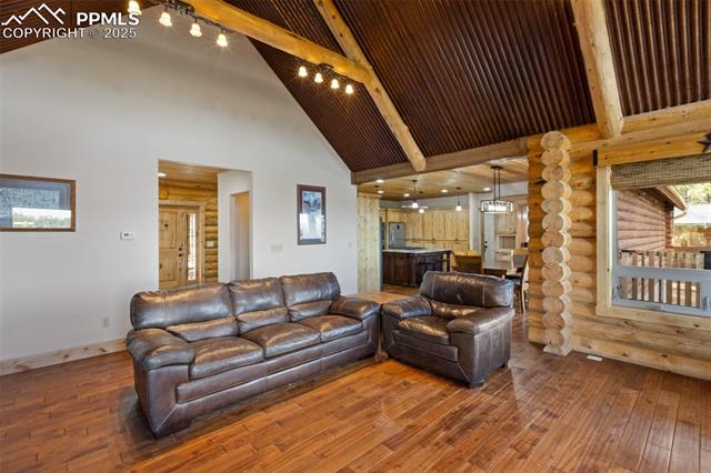 MLS Image for 111  Blue Spruce  ,Divide, Colorado