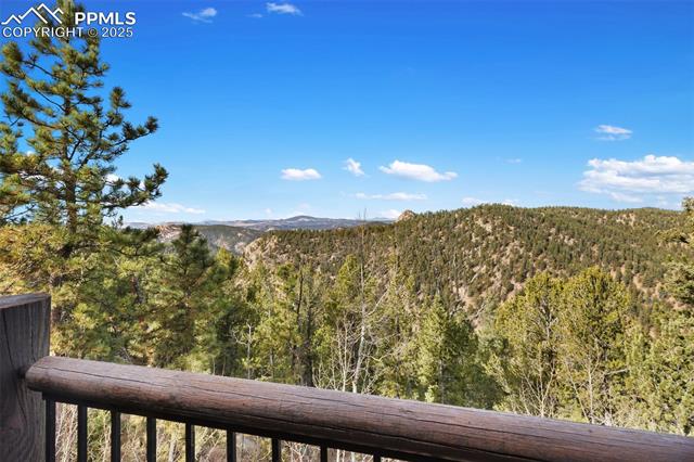 MLS Image for 111  Blue Spruce  ,Divide, Colorado