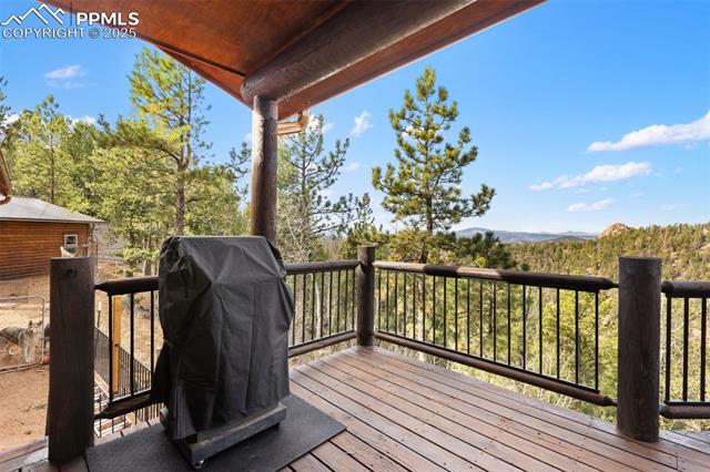 MLS Image for 111  Blue Spruce  ,Divide, Colorado