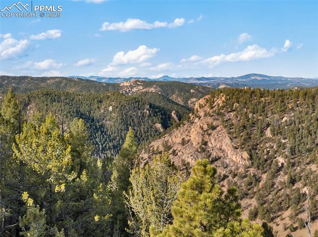 MLS Image for 111  Blue Spruce  ,Divide, Colorado