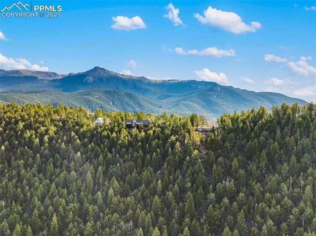 MLS Image for 111  Blue Spruce  ,Divide, Colorado