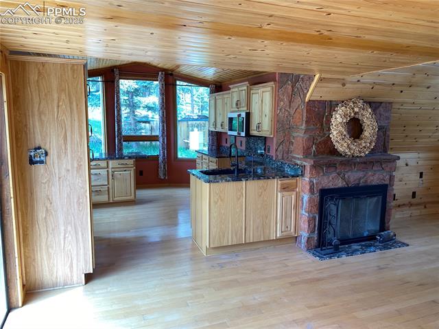 MLS Image for 845  Markus  ,Woodland Park, Colorado