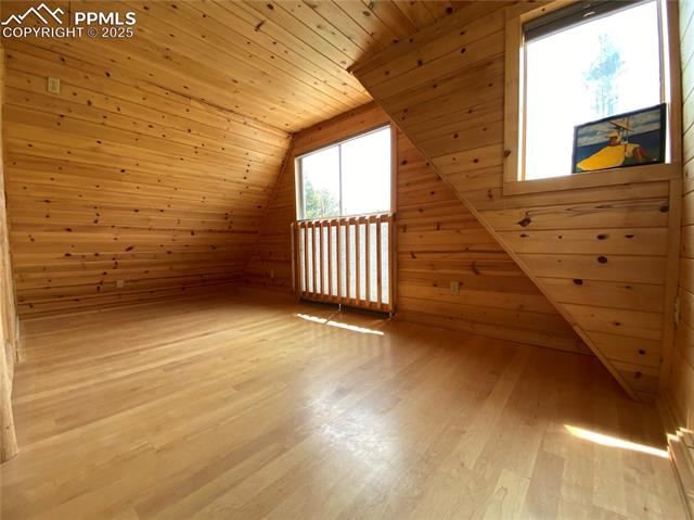 MLS Image for 845  Markus  ,Woodland Park, Colorado