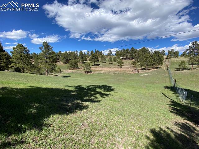 MLS Image for 845  Markus  ,Woodland Park, Colorado