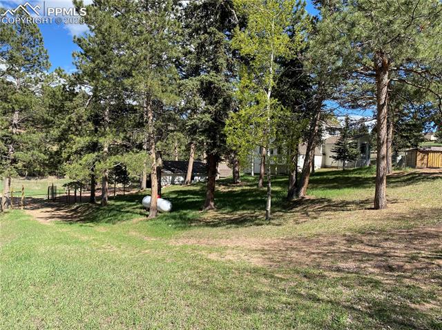 MLS Image for 845  Markus  ,Woodland Park, Colorado