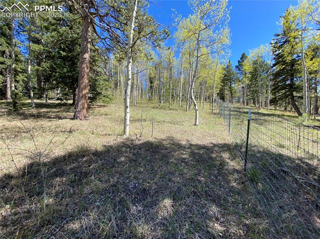 MLS Image for 845  Markus  ,Woodland Park, Colorado