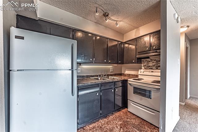 MLS Image for 411  Lakewood  B527 ,Colorado Springs, Colorado