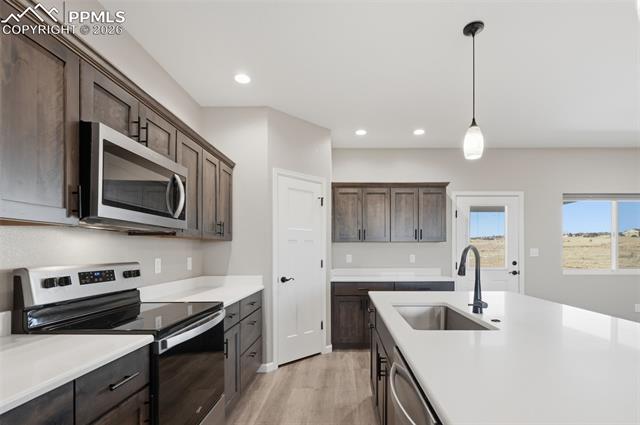 MLS Image for 1619 N Calle Rosa  ,Pueblo, Colorado