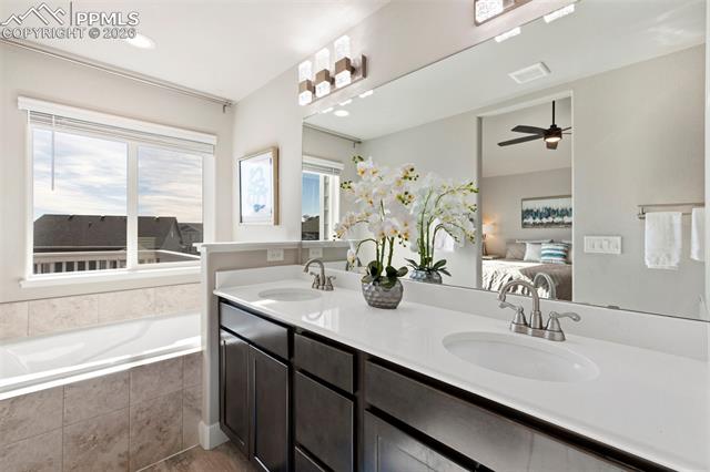 MLS Image for 10447  Odin  ,Colorado Springs, Colorado