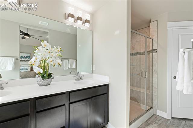 MLS Image for 10447  Odin  ,Colorado Springs, Colorado