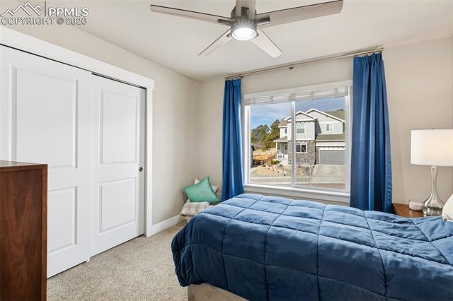 MLS Image for 10447  Odin  ,Colorado Springs, Colorado