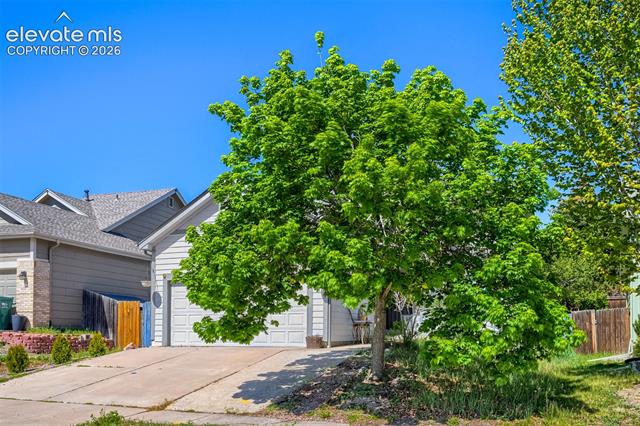 MLS Image for 4966  Ardley  ,Colorado Springs, Colorado
