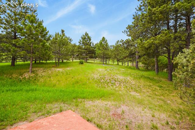 MLS Image for 19085  Merry Men  ,Monument, Colorado