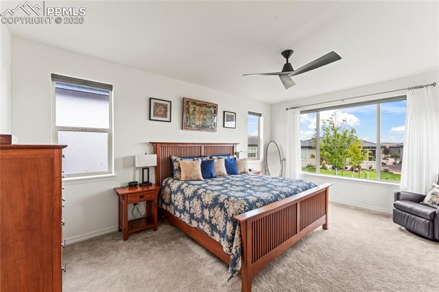 MLS Image for 3267  Virga  ,Colorado Springs, Colorado