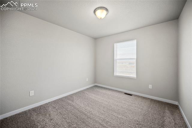 MLS Image for 11384  Rushpink  ,Colorado Springs, Colorado