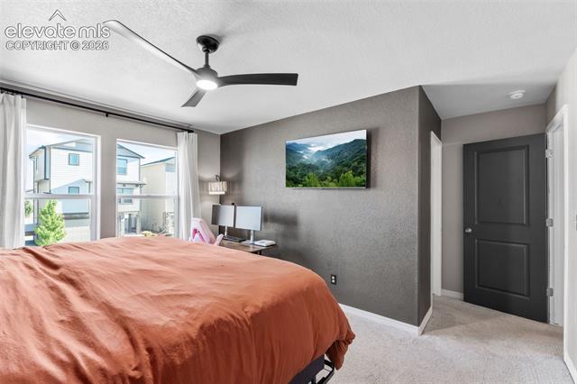 MLS Image for 5252  Painted Sky  ,Colorado Springs, Colorado