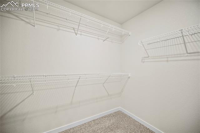 MLS Image for 11325  Rushpink  ,Colorado Springs, Colorado