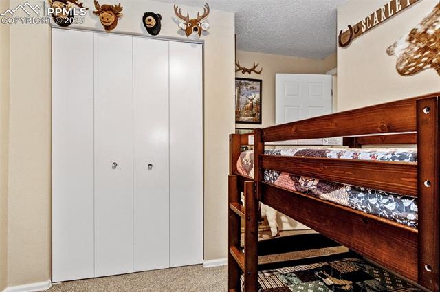 MLS Image for 601  Harvest Field  ,Fountain, Colorado