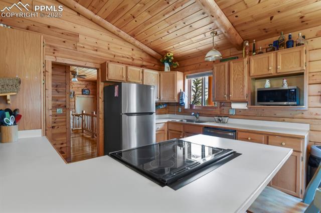 MLS Image for 4269  County Road 51  ,Divide, Colorado