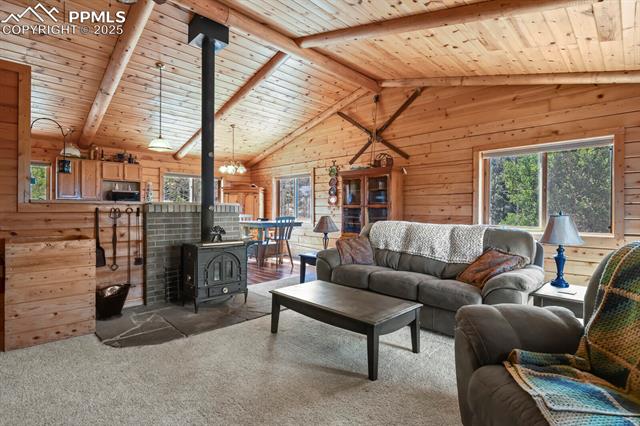 MLS Image for 4269  County Road 51  ,Divide, Colorado