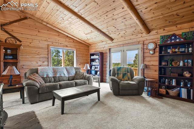 MLS Image for 4269  County Road 51  ,Divide, Colorado