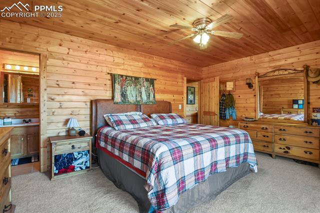 MLS Image for 4269  County Road 51  ,Divide, Colorado