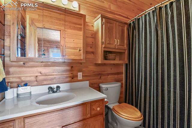 MLS Image for 4269  County Road 51  ,Divide, Colorado