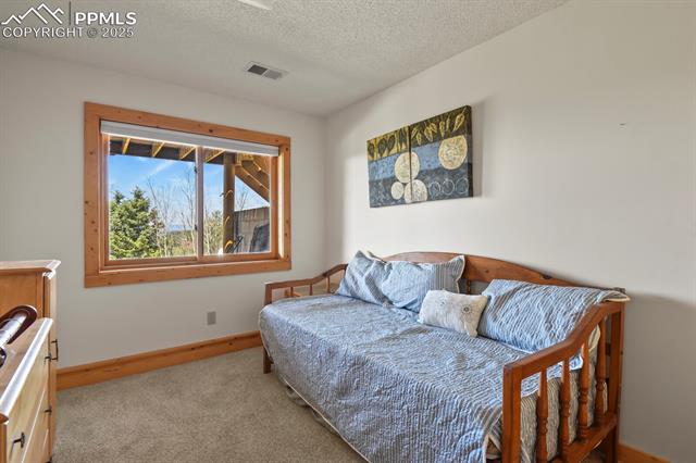 MLS Image for 4269  County Road 51  ,Divide, Colorado