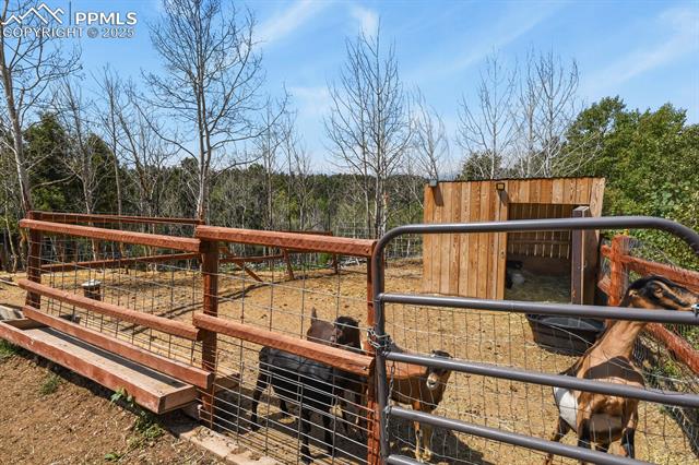 MLS Image for 4269  County Road 51  ,Divide, Colorado