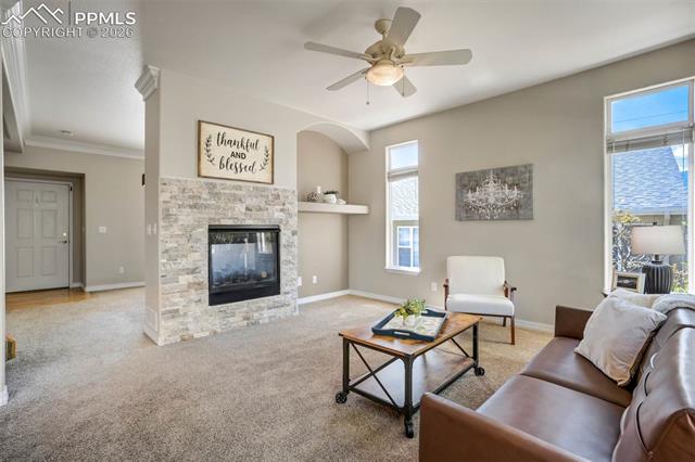 MLS Image for 504  Silver Mine  ,Colorado Springs, Colorado