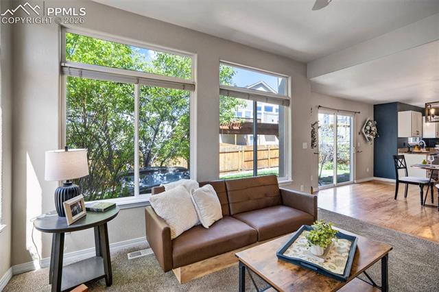 MLS Image for 504  Silver Mine  ,Colorado Springs, Colorado