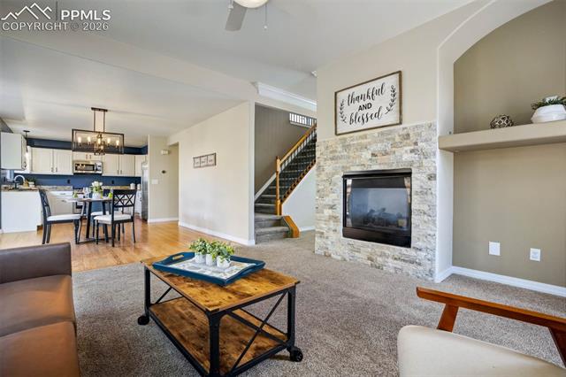 MLS Image for 504  Silver Mine  ,Colorado Springs, Colorado