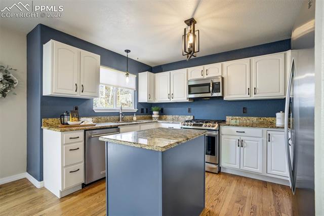 MLS Image for 504  Silver Mine  ,Colorado Springs, Colorado