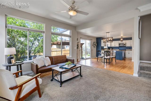 MLS Image for 504  Silver Mine  ,Colorado Springs, Colorado